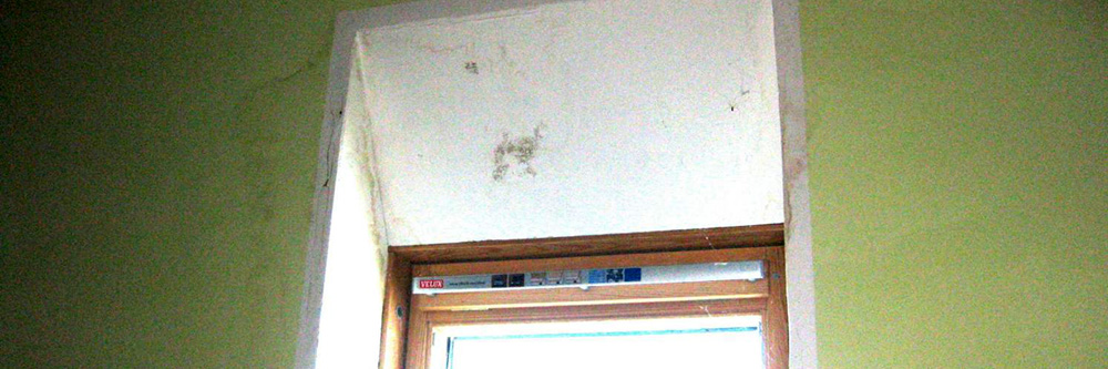 Immobilienkauf-Beratung