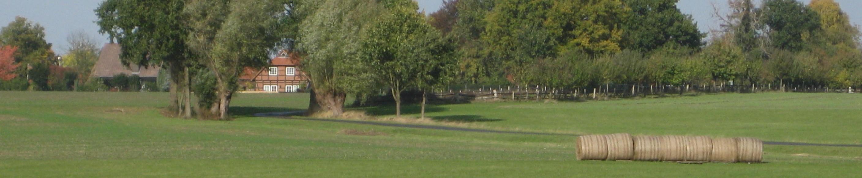 Auch für landwirtschaftliche Flächen werden Bodenrichtwerte festgestellt