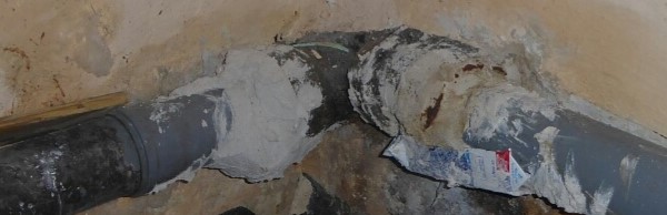 Gutachter