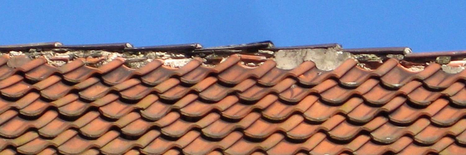 Einfamilienhaus